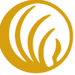 nami_logo_roots copy
